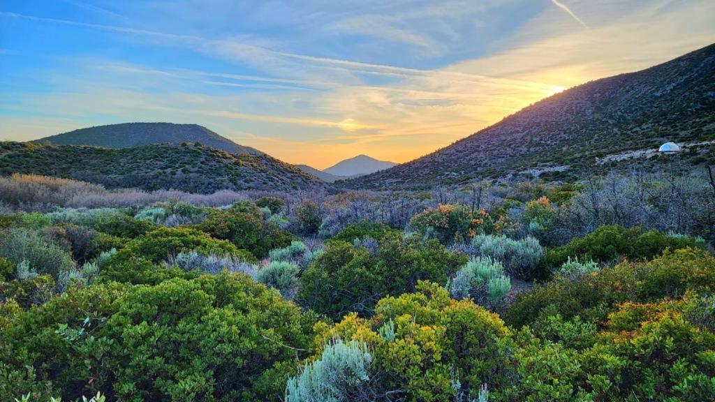 Sage Desert Dreams Mount Charleston Bagian luar foto