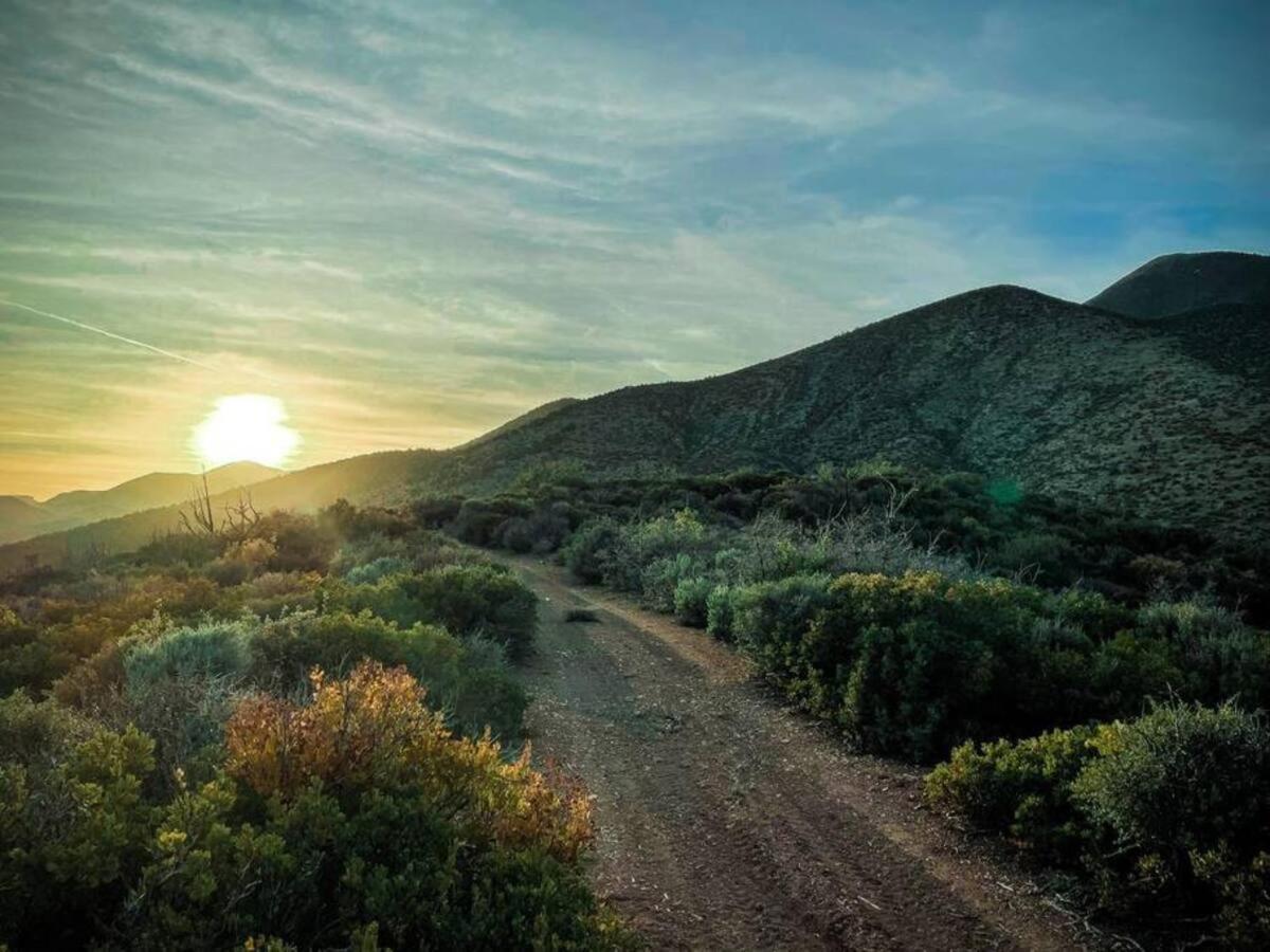 Sage Desert Dreams Mount Charleston Bagian luar foto