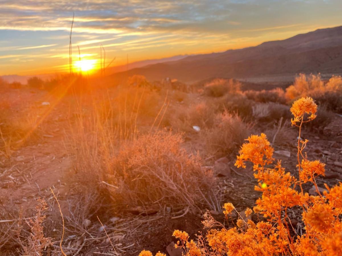 Sage Desert Dreams Mount Charleston Bagian luar foto