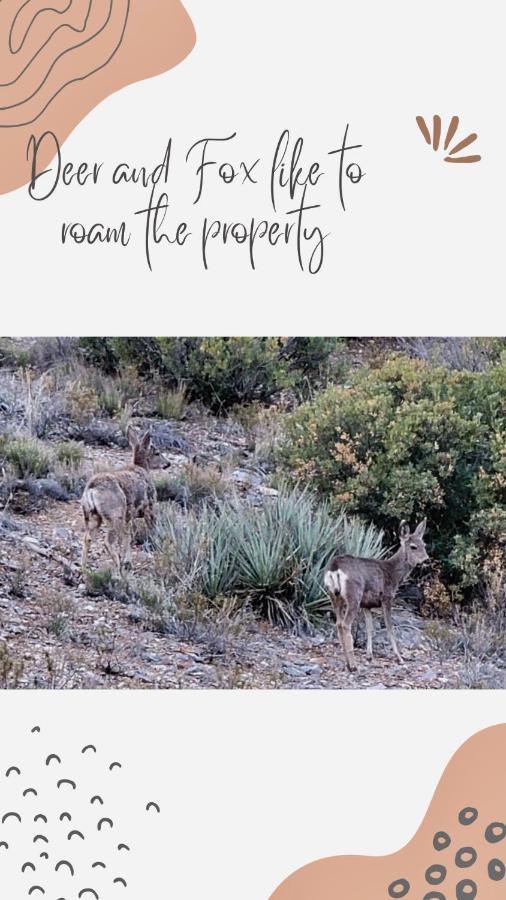 Sage Desert Dreams Mount Charleston Bagian luar foto